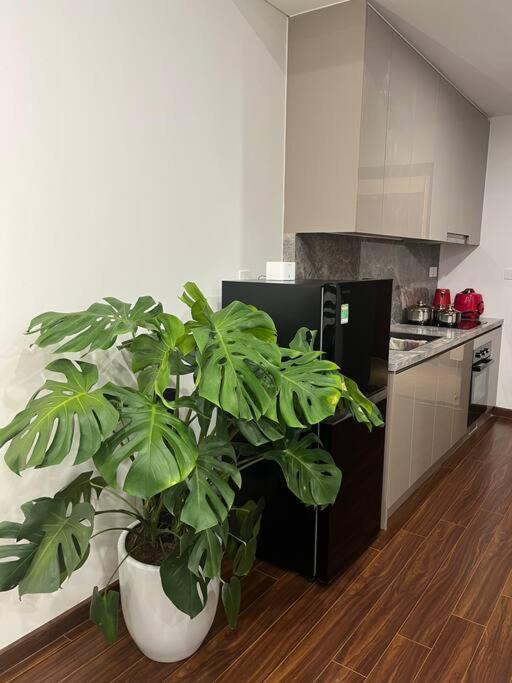 Appartement Masteri Water Fornt Hanoï